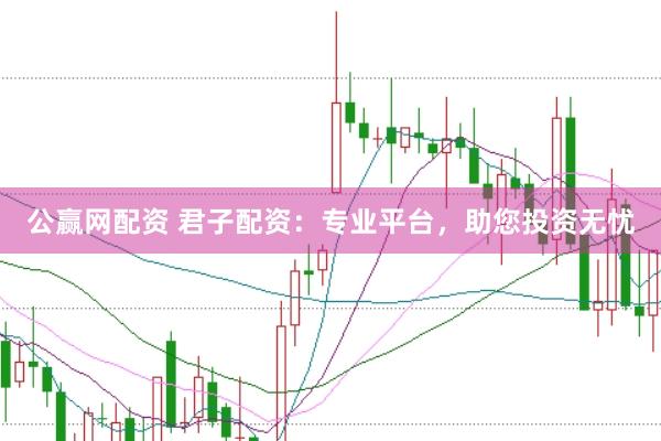 公赢网配资 君子配资：专业平台，助您投资无忧