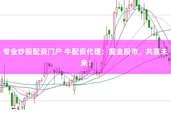 专业炒股配资门户 牛配资代理：掘金股市，共赢未来！