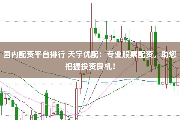 国内配资平台排行 天宇优配：专业股票配资，助您把握投资良机！