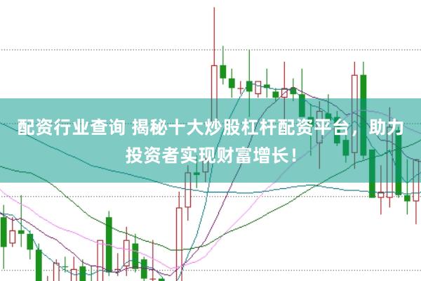 配资行业查询 揭秘十大炒股杠杆配资平台，助力投资者实现财富增长！