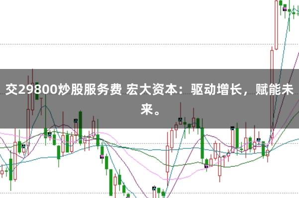 交29800炒股服务费 宏大资本：驱动增长，赋能未来。