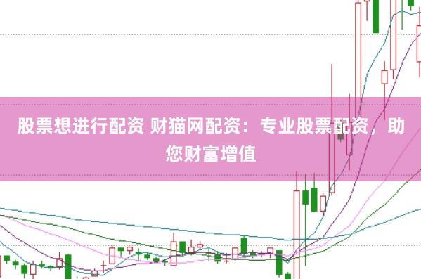 股票想进行配资 财猫网配资：专业股票配资，助您财富增值