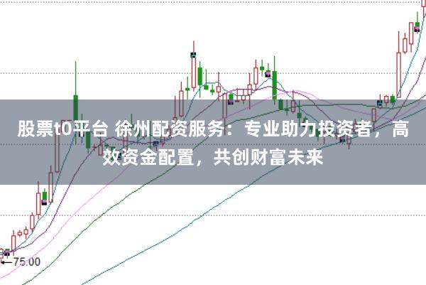 股票t0平台 徐州配资服务：专业助力投资者，高效资金配置，共创财富未来