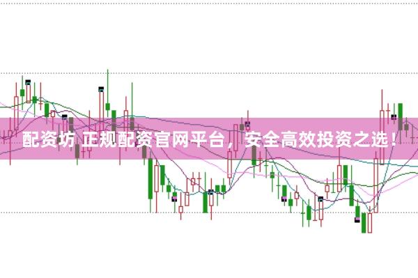 配资坊 正规配资官网平台，安全高效投资之选！