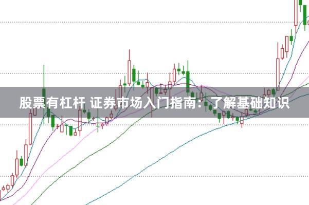 股票有杠杆 证券市场入门指南：了解基础知识