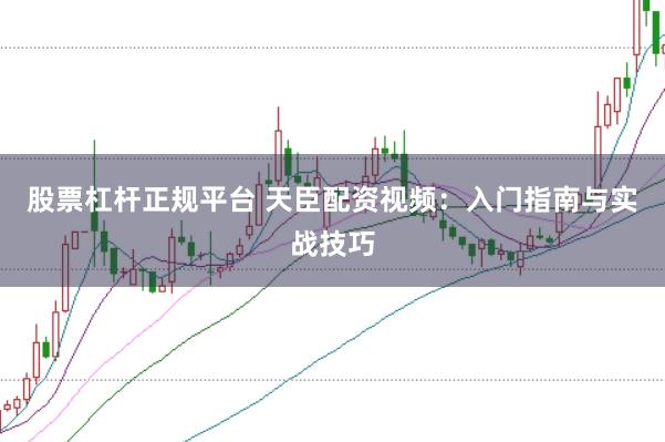 股票杠杆正规平台 天臣配资视频：入门指南与实战技巧
