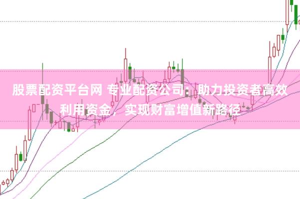 股票配资平台网 专业配资公司：助力投资者高效利用资金，实现财富增值新路径