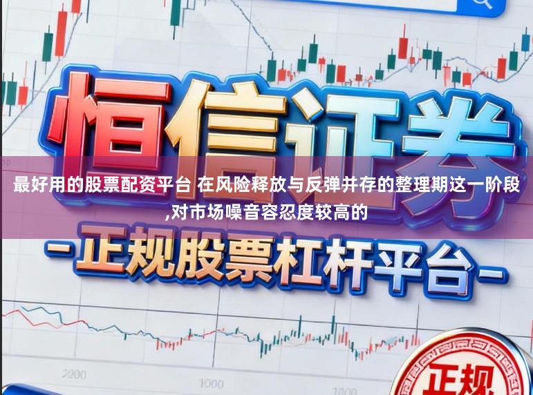 最好用的股票配资平台 在风险释放与反弹并存的整理期这一阶段，对市场噪音容忍度较高的