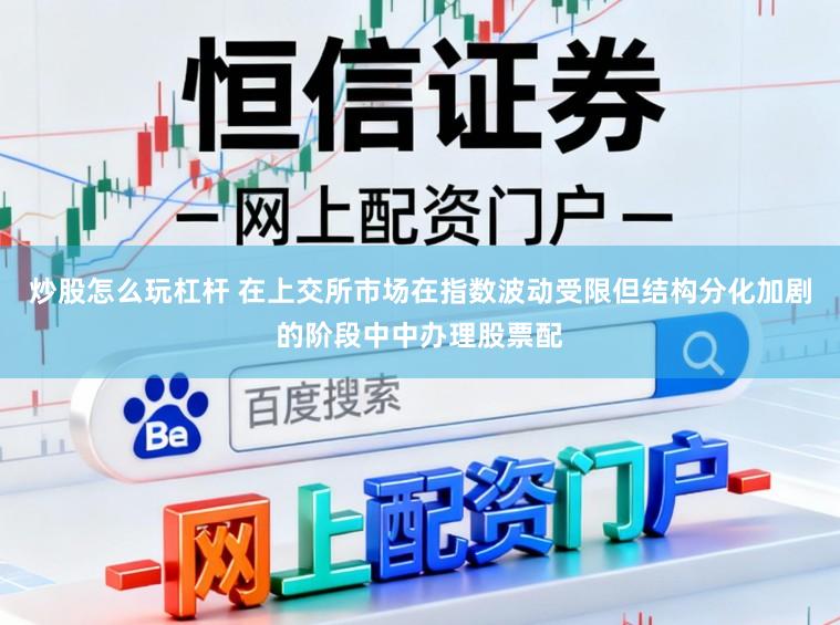 炒股怎么玩杠杆 在上交所市场在指数波动受限但结构分化加剧的阶段中中办理股票配