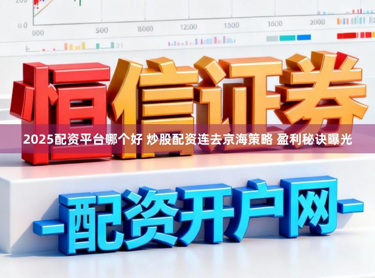 2025配资平台哪个好 炒股配资连去京海策略 盈利秘诀曝光